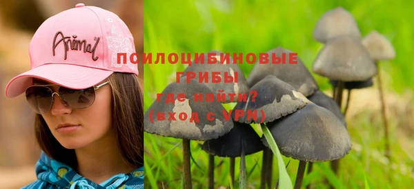 ешки Абаза