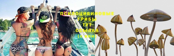 ешки Абаза