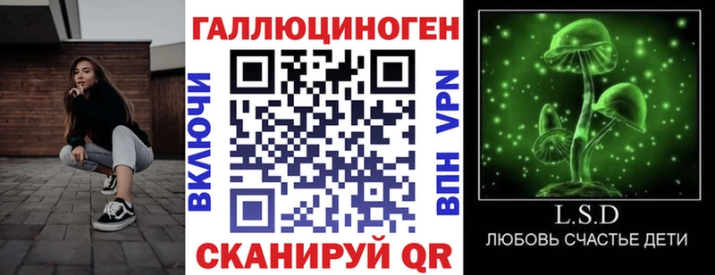 наркота  Урень  Псилоцибиновые грибы мицелий 